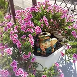Apartman Nada *